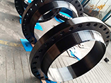 Carbon Steel Flanges